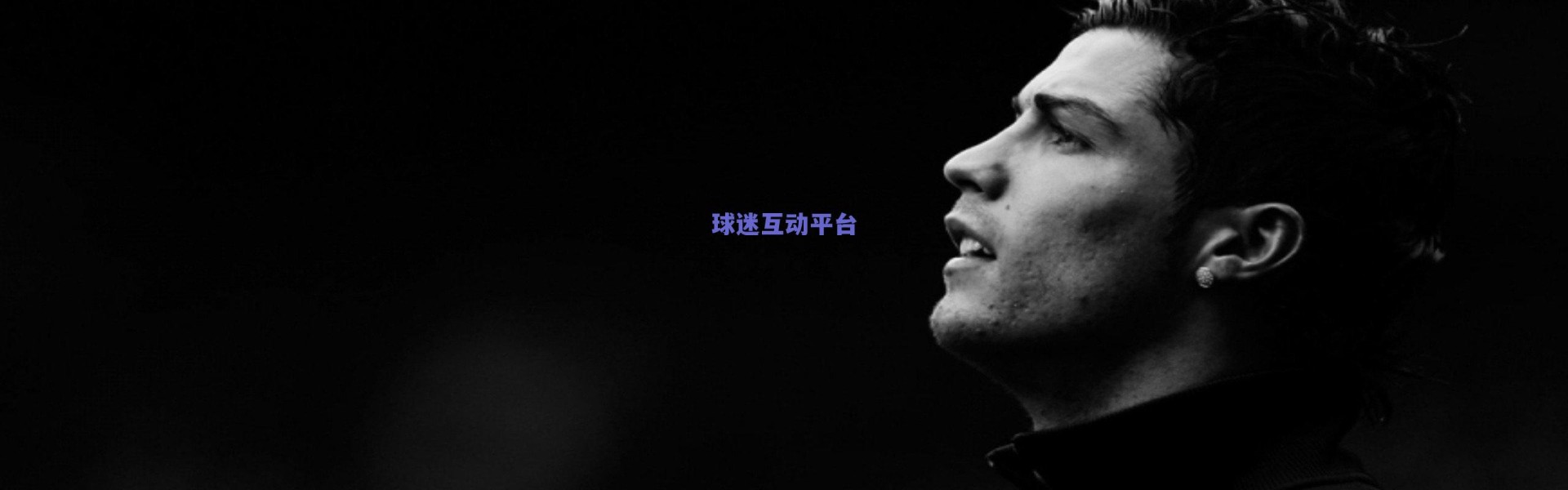 二十五年沉浮录，麦迪逊花园的希望与幻灭循环